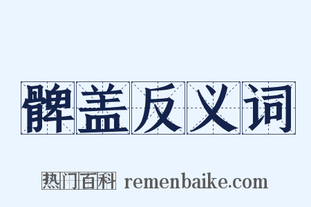 髀盖反义词是什么意思的图片